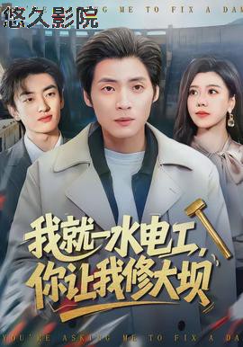 我就一水电工，你让我修大坝